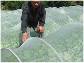 ���x����